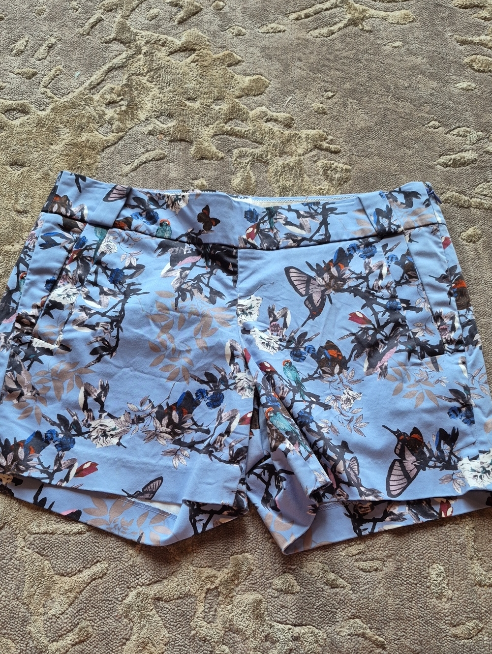 J. Crew Light Blue Floral Hummingbird Print Shorts 4 Cotton
